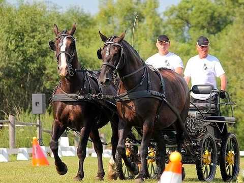Zawody w powożeniu - Ludźmierz 20 lipiec 2014r.