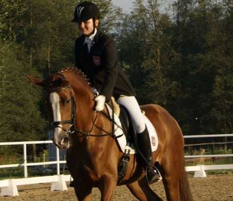 VI Zawody Jeżdzieckie w Rogoźniku /Ujeżdżenie/ (18 sierpień 2012r.)