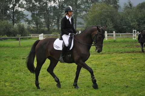 Zawody Jeździeckie w Łopusznej (30-31 lipiec 2011r.)