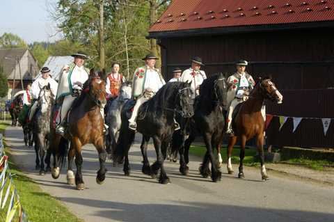 Banderia konna (16 maj 2015r.)