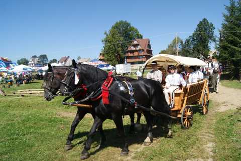VI Zawody Jeździeckie w Rogoźniku /Część 1/ (19 sierpień 2012r.)